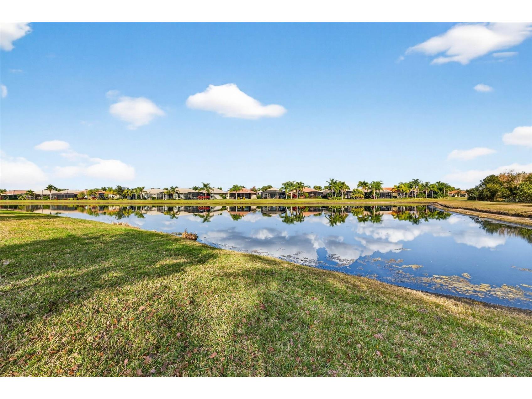 16251 Diamond Bay Drive Wimauma FL 33598 TB8461361 image5