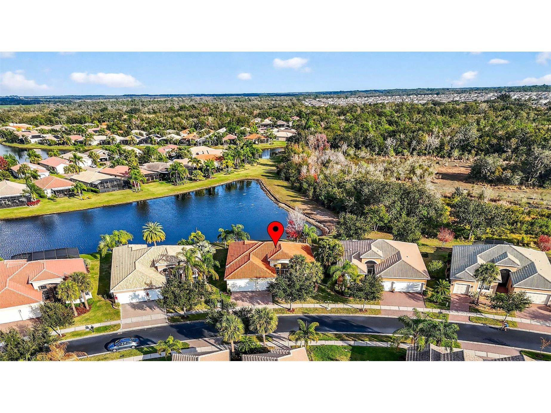 16251 Diamond Bay Drive Wimauma FL 33598 TB8461361 image50
