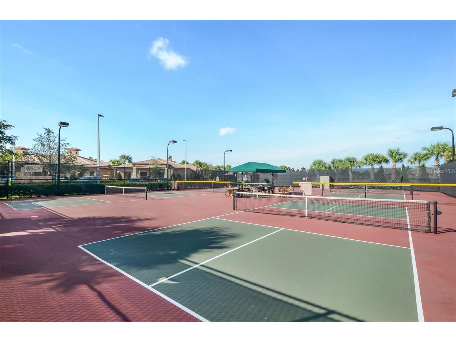 16251 Diamond Bay Drive Wimauma FL 33598 TB8461361 image64