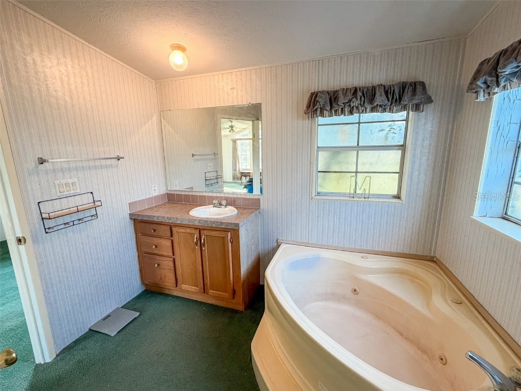 16251 SE 161st Court Weirsdale FL 32195 OM712275 image20