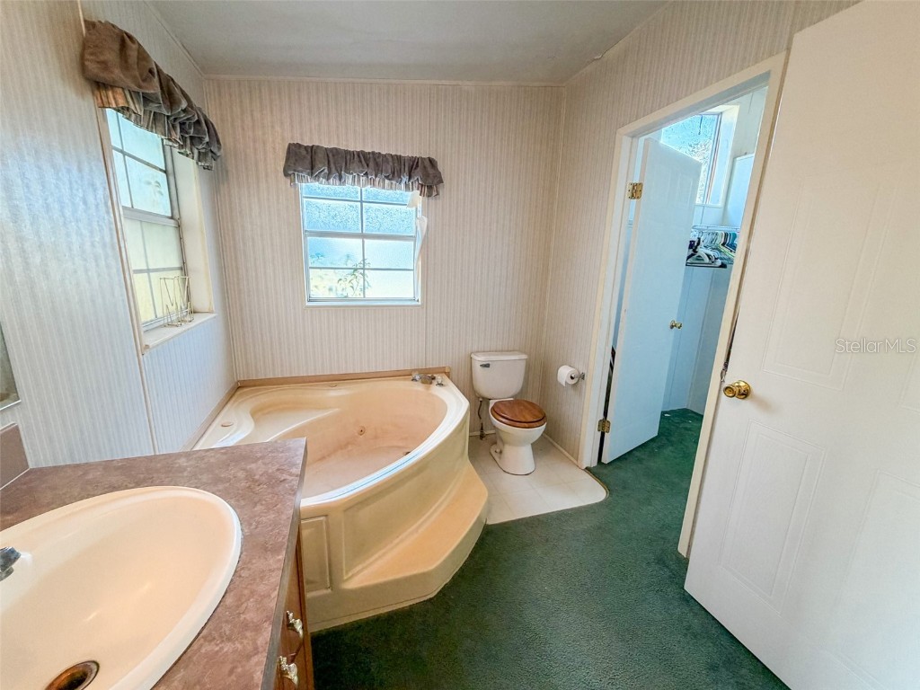 16251 SE 161st Court Weirsdale FL 32195 OM712275 image21