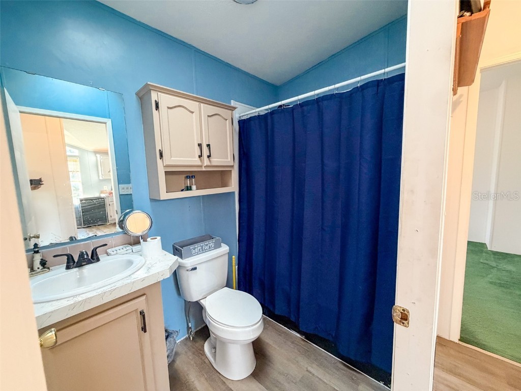 16251 SE 161st Court Weirsdale FL 32195 OM712275 image6