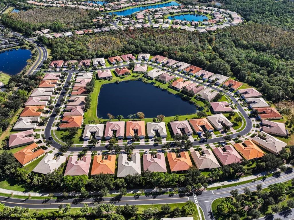 16252 Amethyst Key Drive Wimauma FL 33598 TB8448866 image36