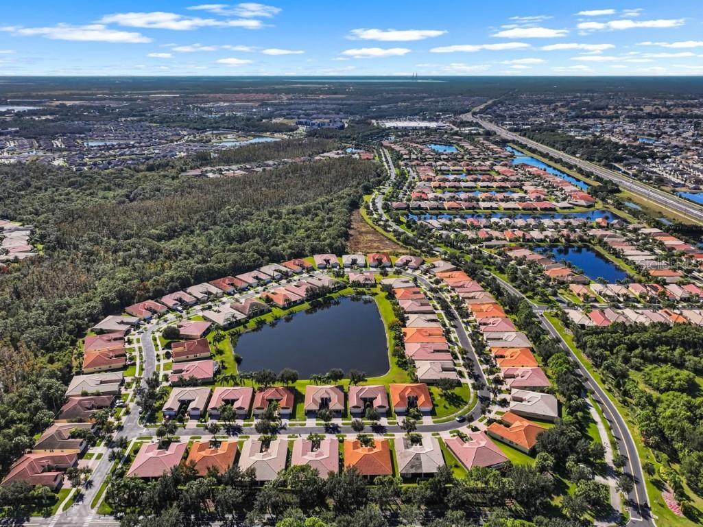 16252 Amethyst Key Drive Wimauma FL 33598 TB8448866 image39