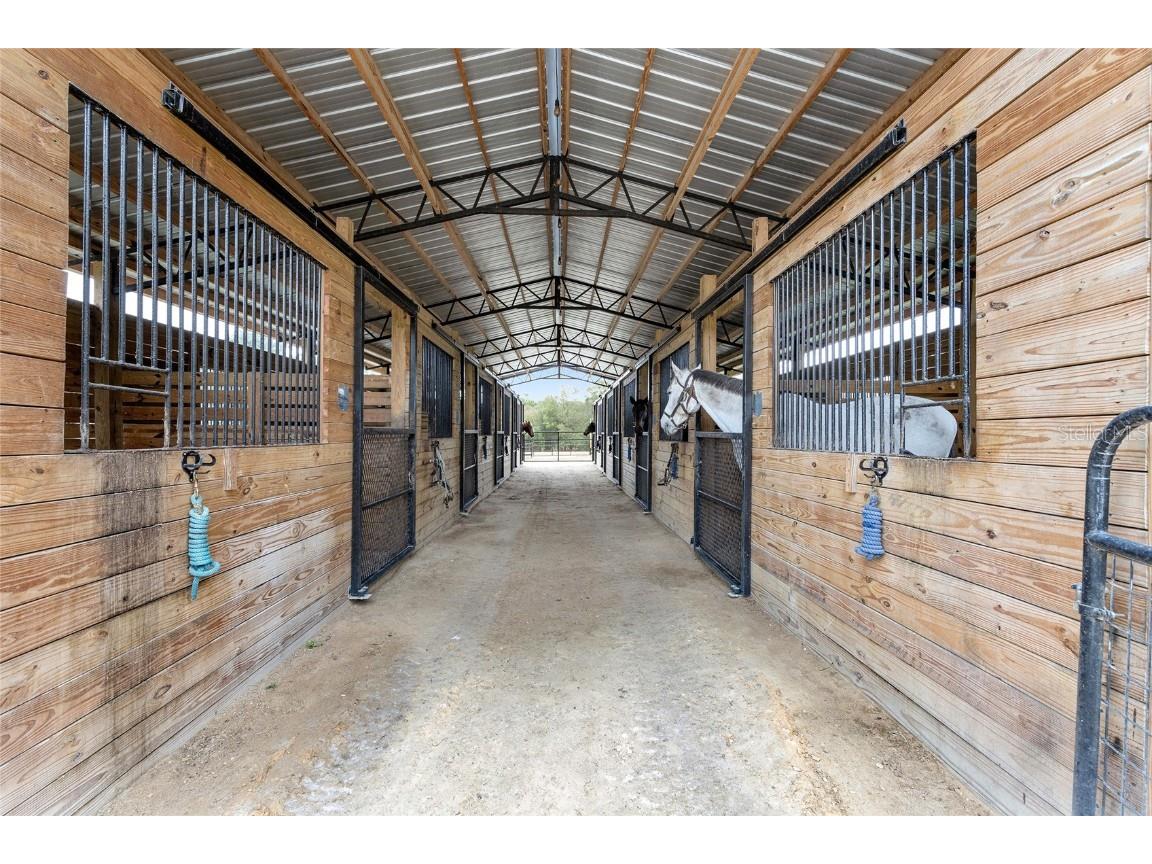 16254 NW 165th Street Williston FL 32696 OM715439 image35