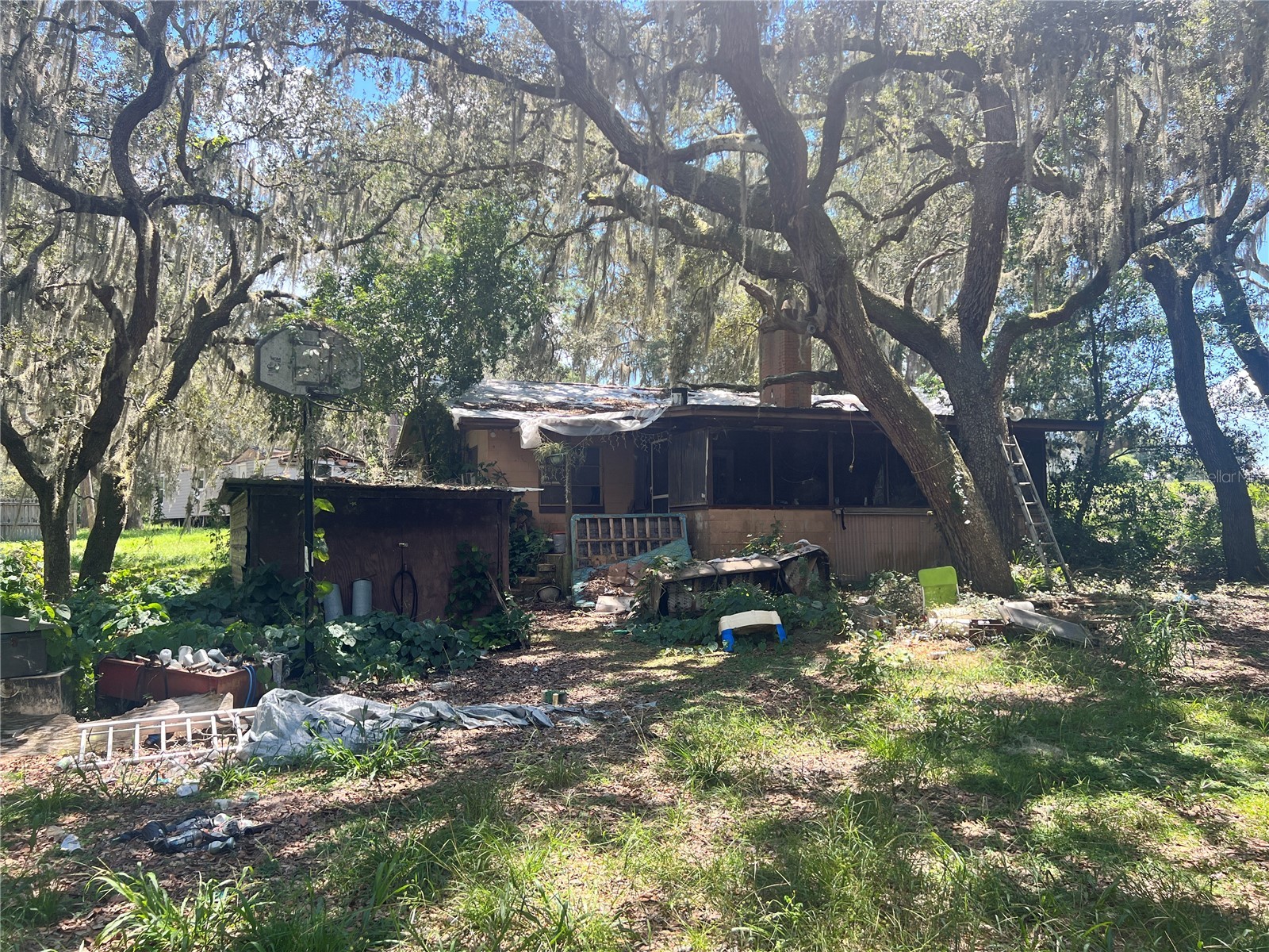 16254 SE 273rd Terrace Umatilla FL 32784 A4686019 image3