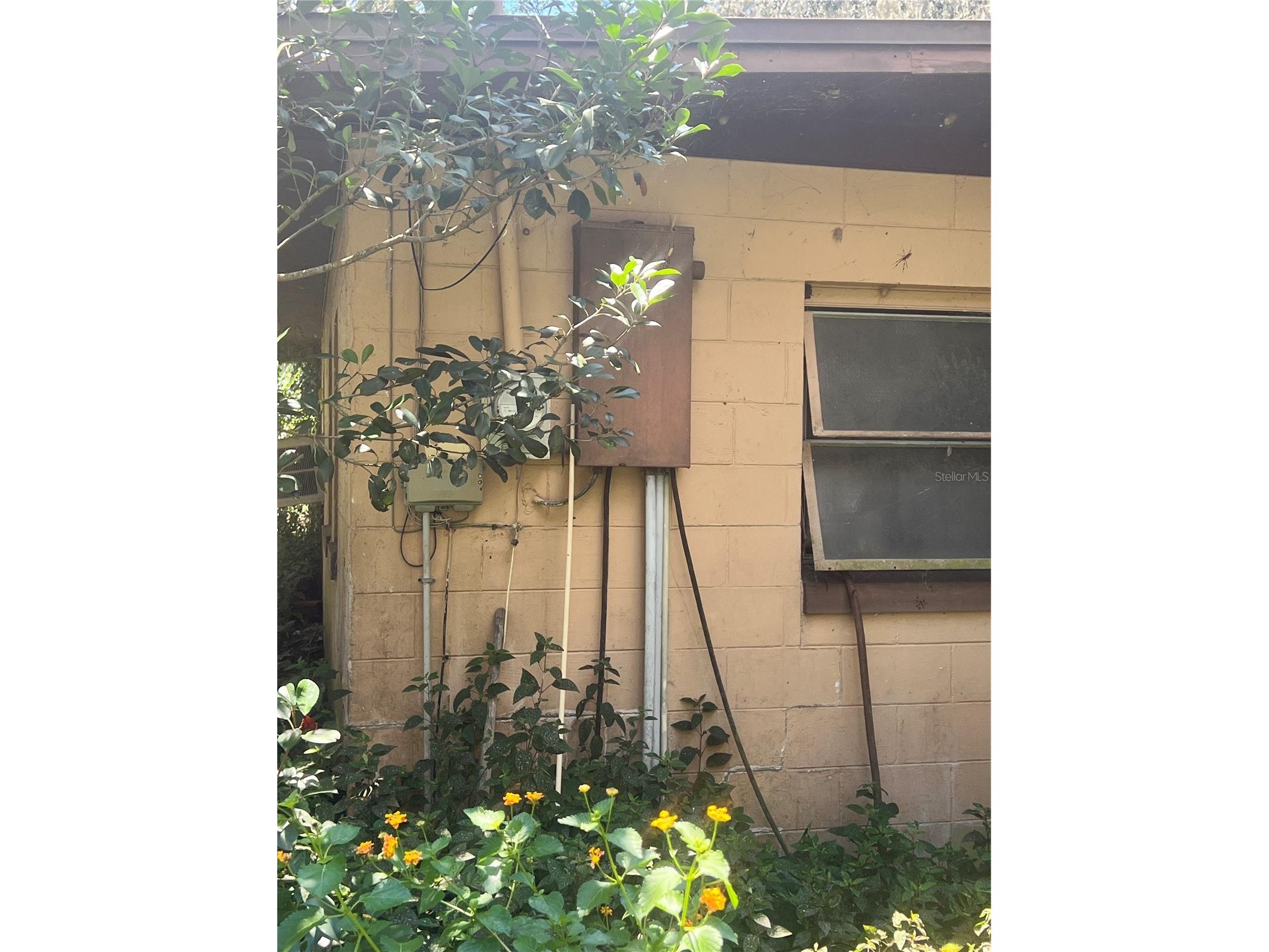 16254 SE 273rd Terrace Umatilla FL 32784 A4686019 image5