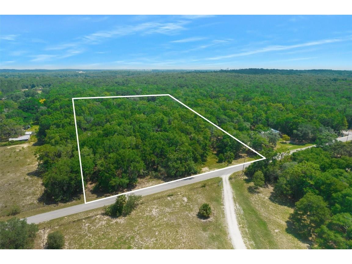 16259 Sam C Road Brooksville FL 34613 W7855571 image1