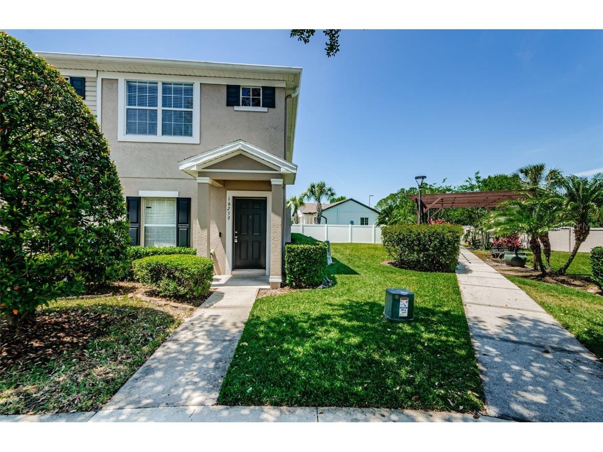 16259 Swan View Circle Odessa FL 33556 U8239113 image1