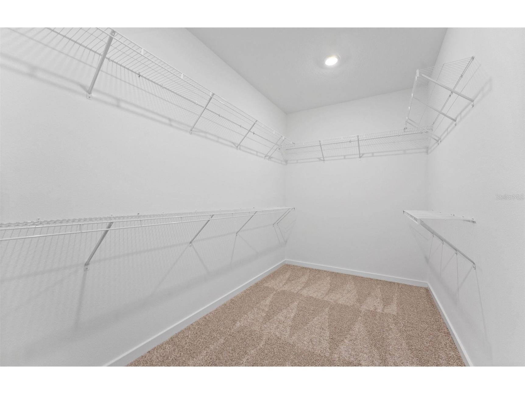 1626 Fallon Pass Zephyrhills FL 33541 TB8428666 image15