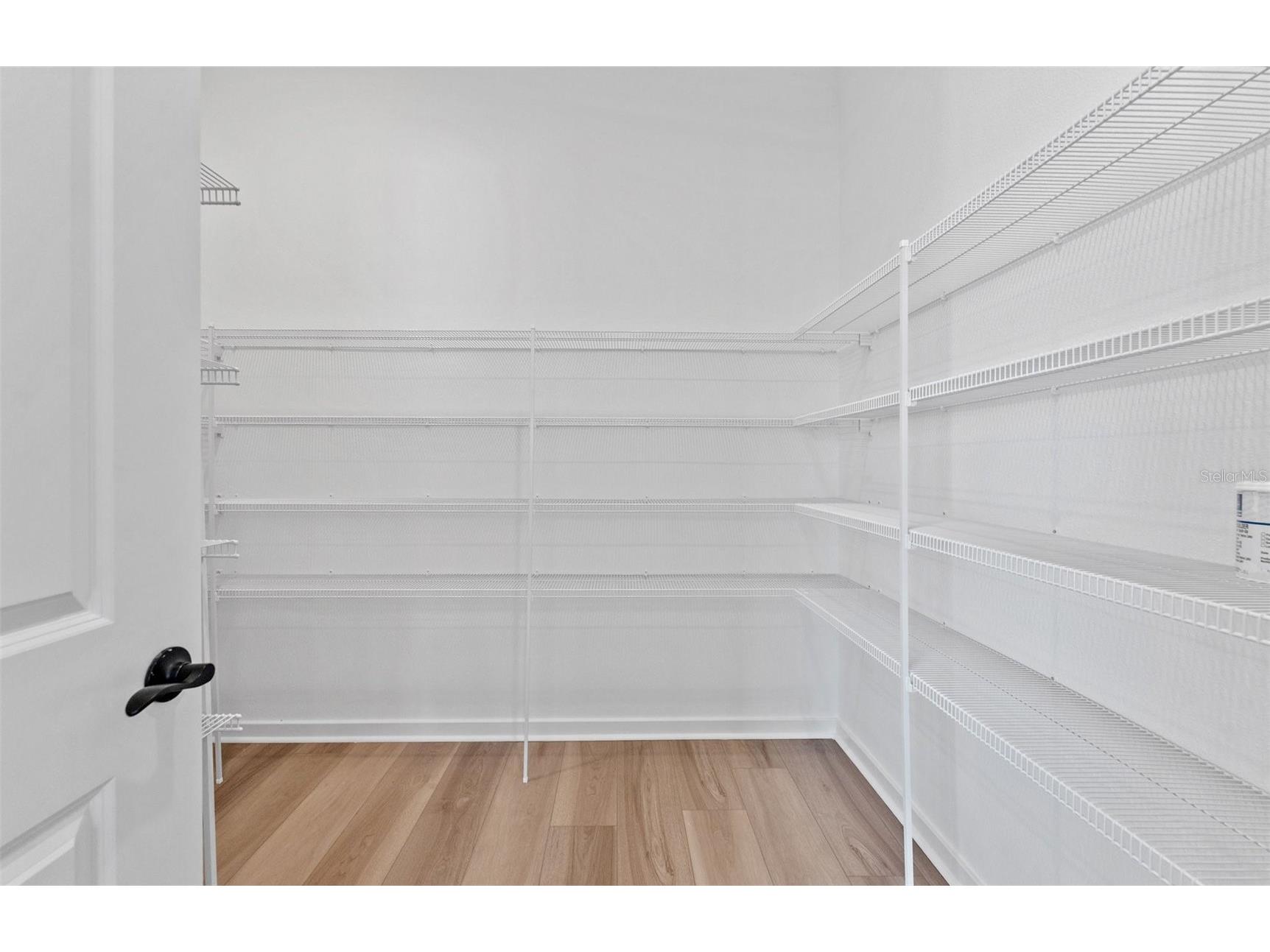 1626 Fallon Pass Zephyrhills FL 33541 TB8428666 image5