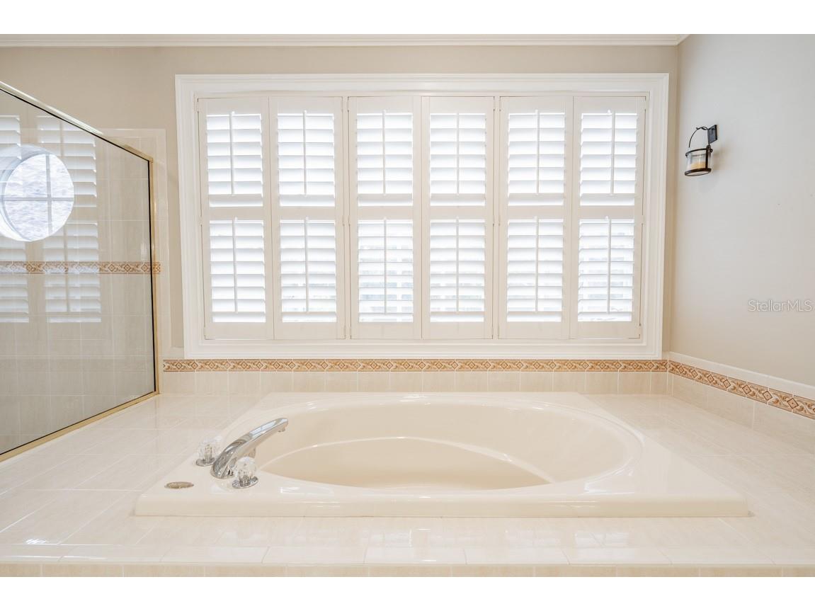 1626 Lago Vista Boulevard Palm Harbor FL 34685 TB8525134 image26