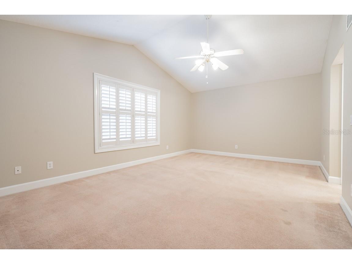 1626 Lago Vista Boulevard Palm Harbor FL 34685 TB8525134 image30