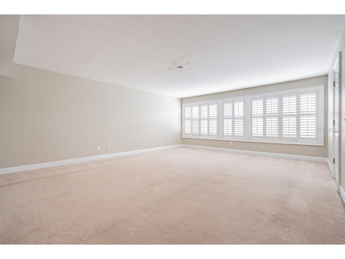 1626 Lago Vista Boulevard Palm Harbor FL 34685 TB8525134 image32