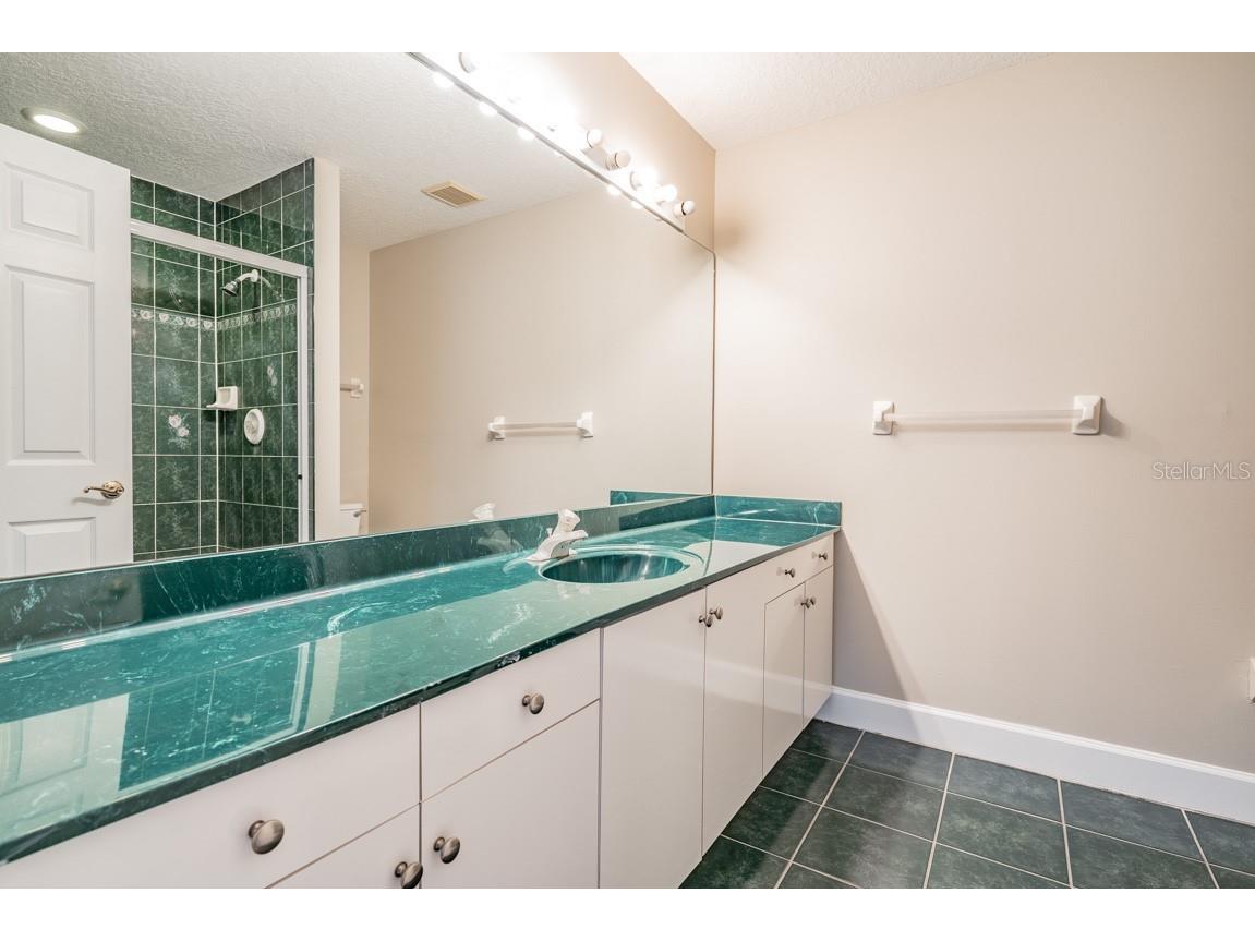 1626 Lago Vista Boulevard Palm Harbor FL 34685 TB8525134 image33