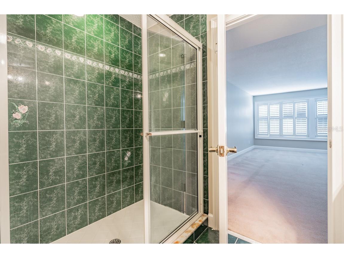 1626 Lago Vista Boulevard Palm Harbor FL 34685 TB8525134 image34