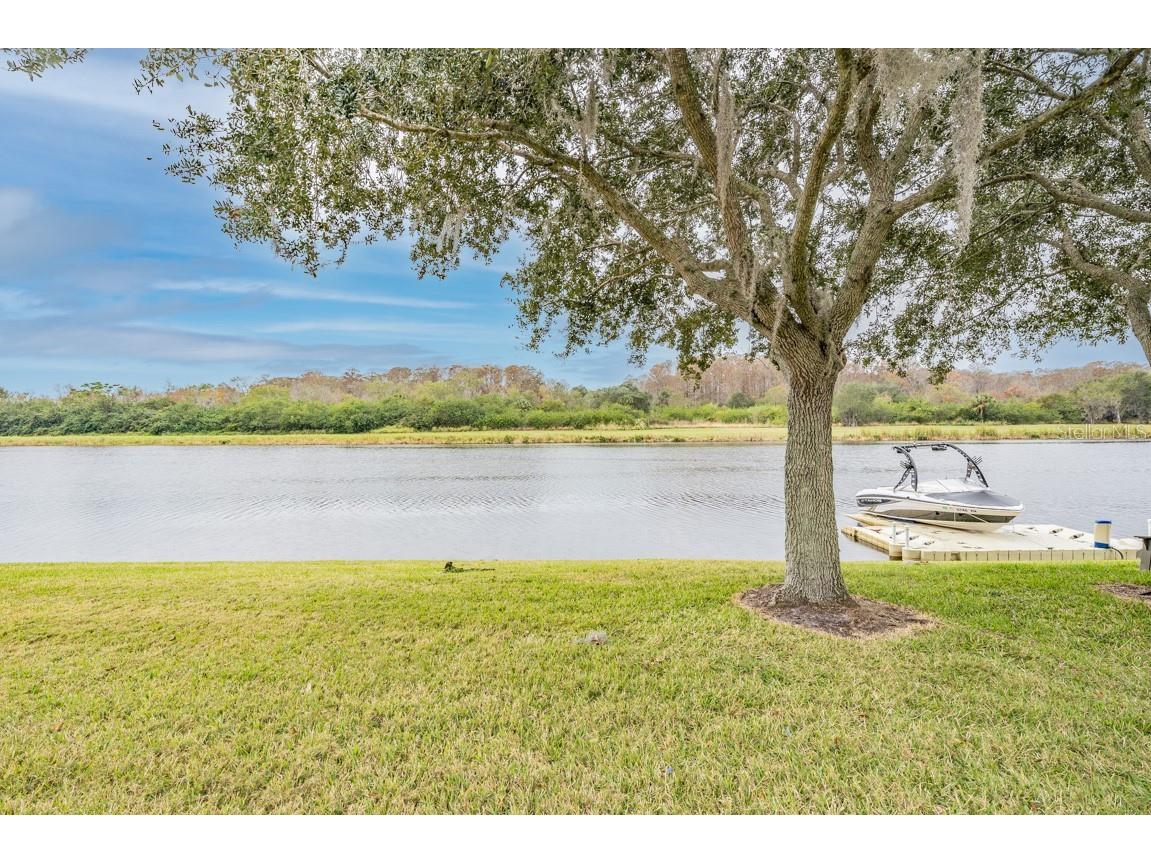 1626 Lago Vista Boulevard Palm Harbor FL 34685 TB8525134 image39