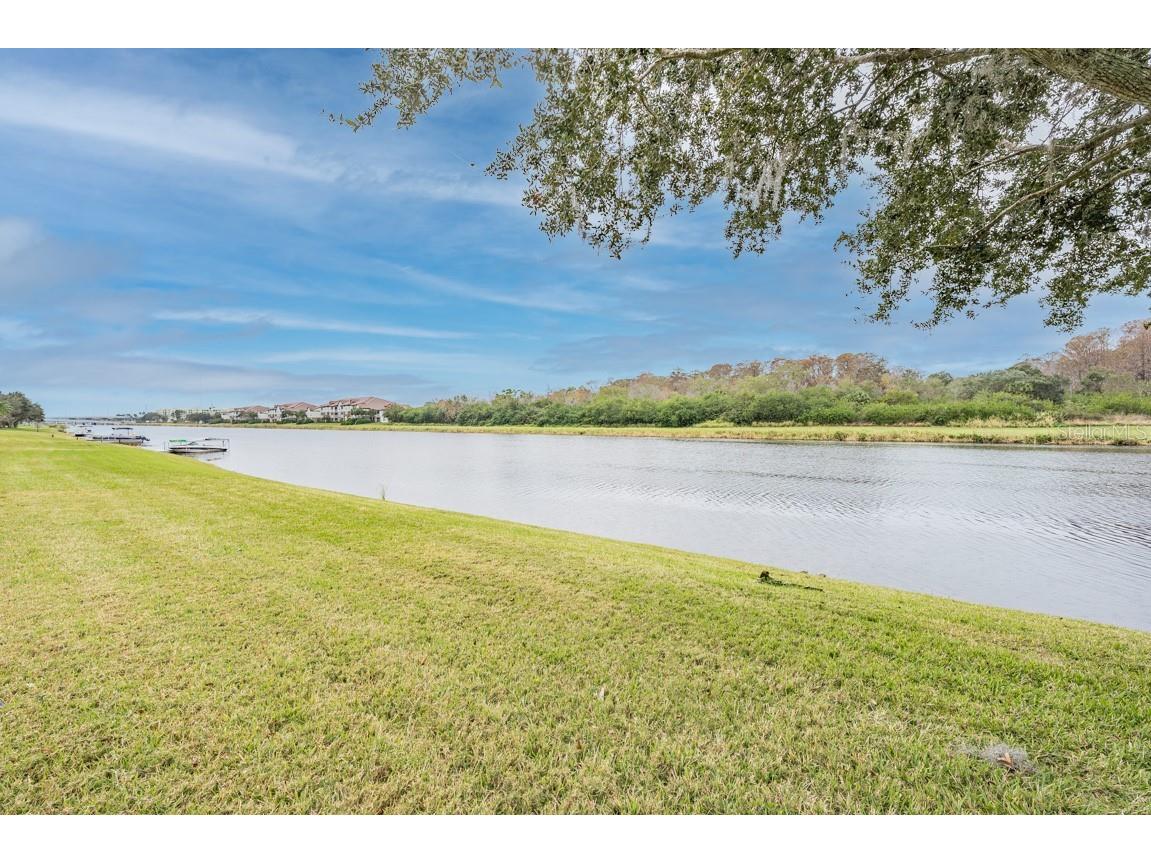 1626 Lago Vista Boulevard Palm Harbor FL 34685 TB8525134 image40