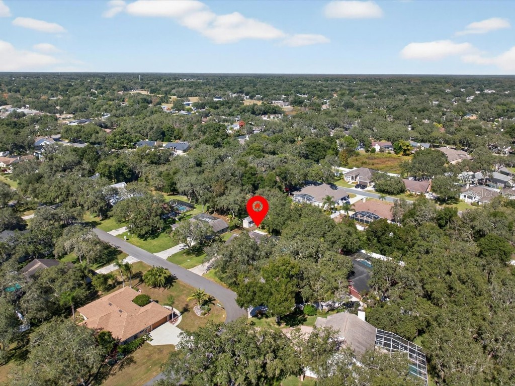 1626 Morning Dove Loop N Lakeland FL 33809 O6357659 image44