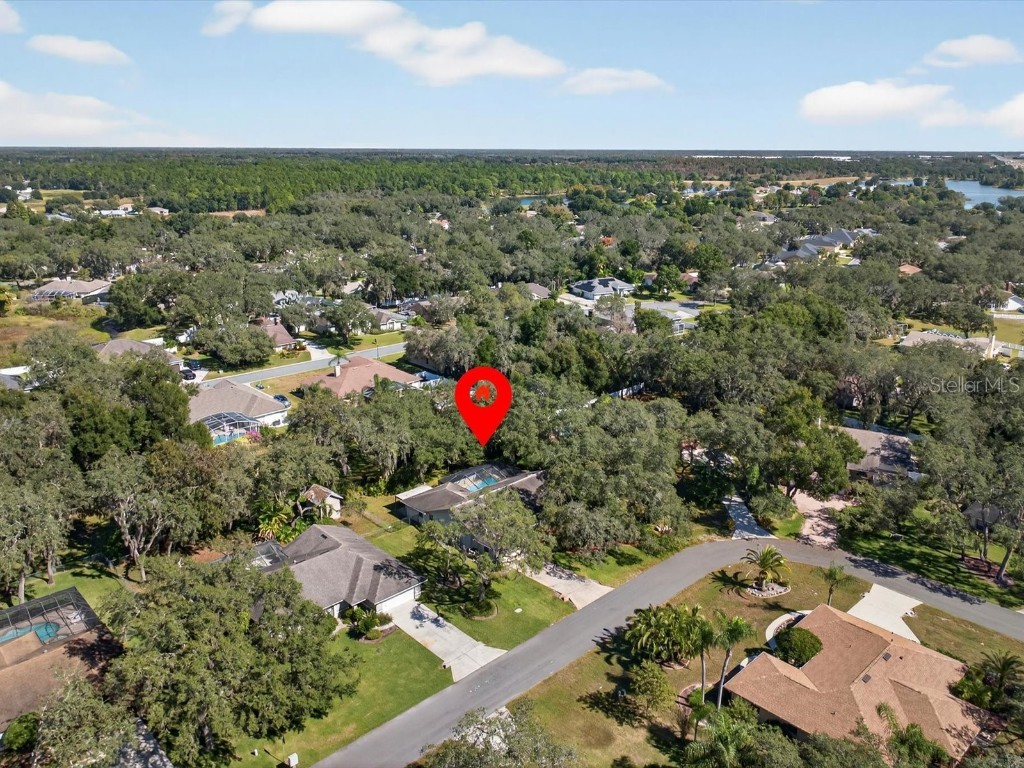 1626 Morning Dove Loop N Lakeland FL 33809 O6357659 image45