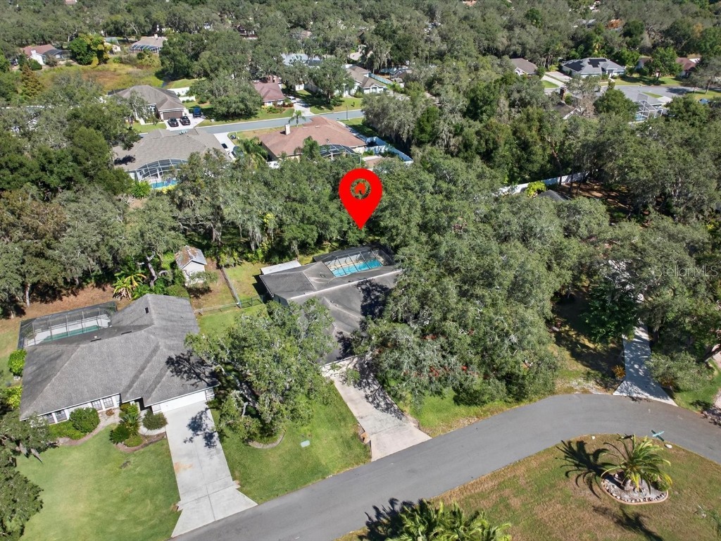 1626 Morning Dove Loop N Lakeland FL 33809 O6357659 image46