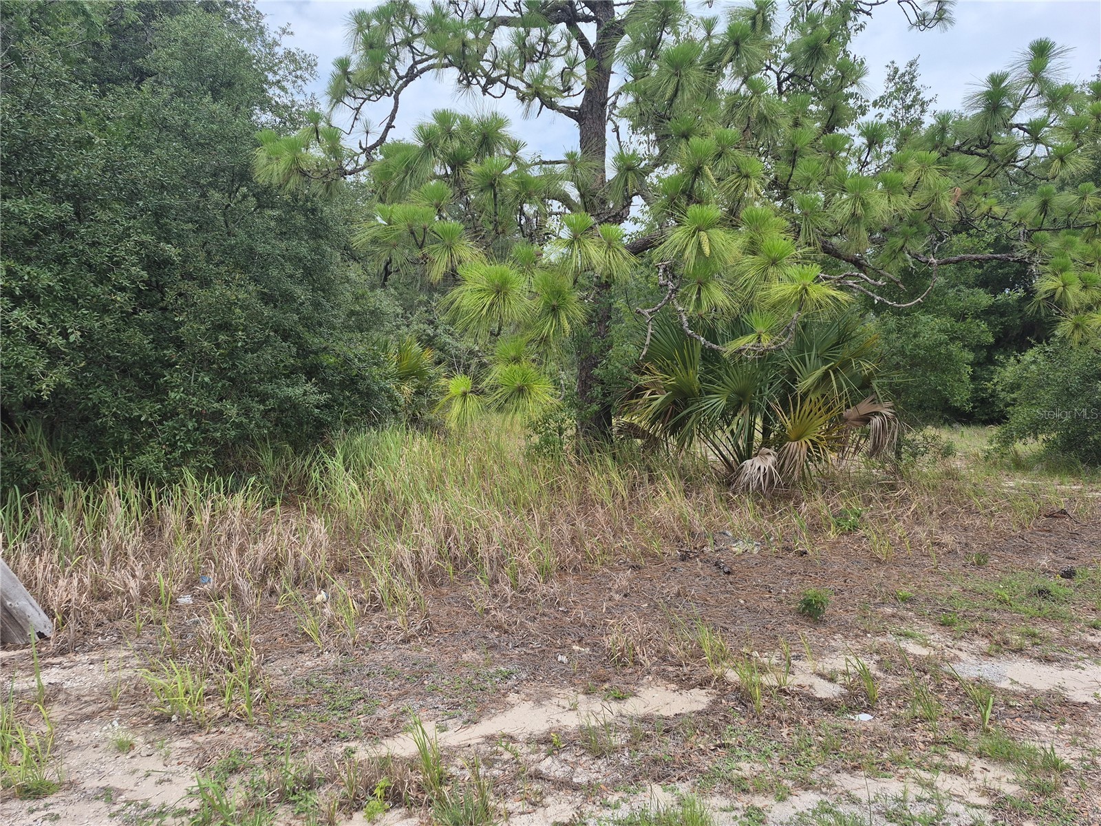 1626 S Us 301 Sumterville FL 33585 G5113191 image2