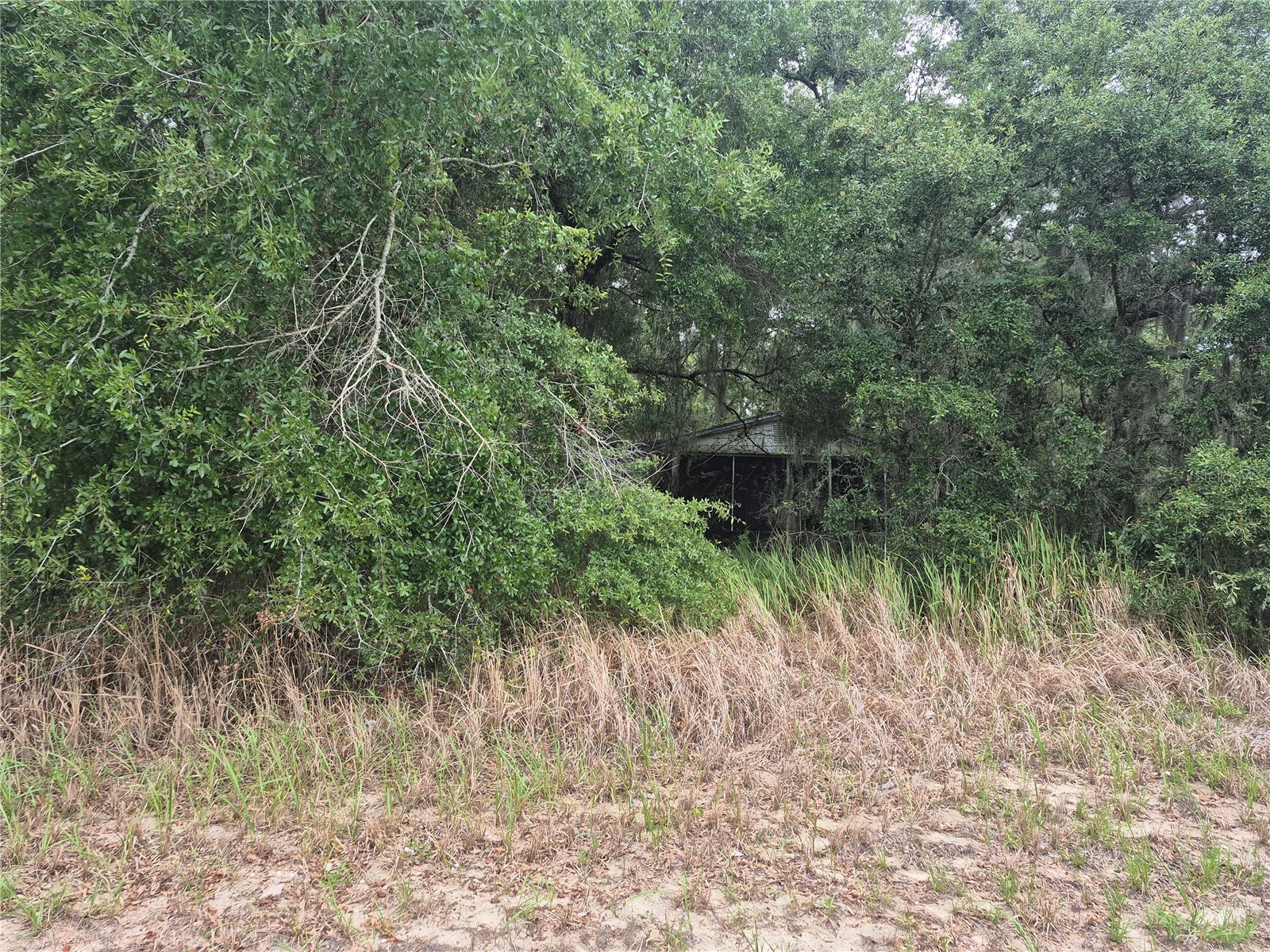 1626 S Us 301 Sumterville FL 33585 G5113191 image3