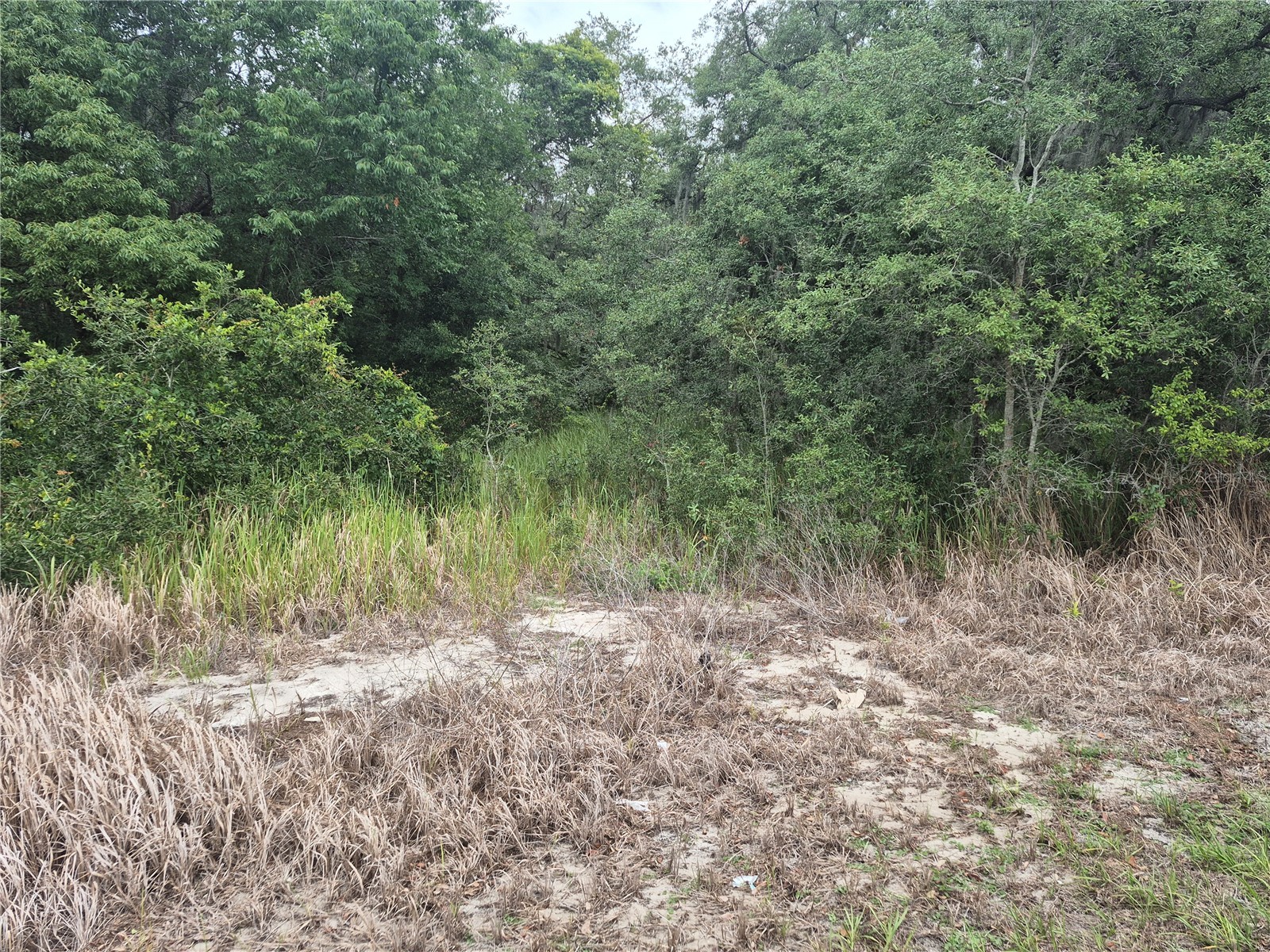 1626 S Us 301 Sumterville FL 33585 G5113191 image4