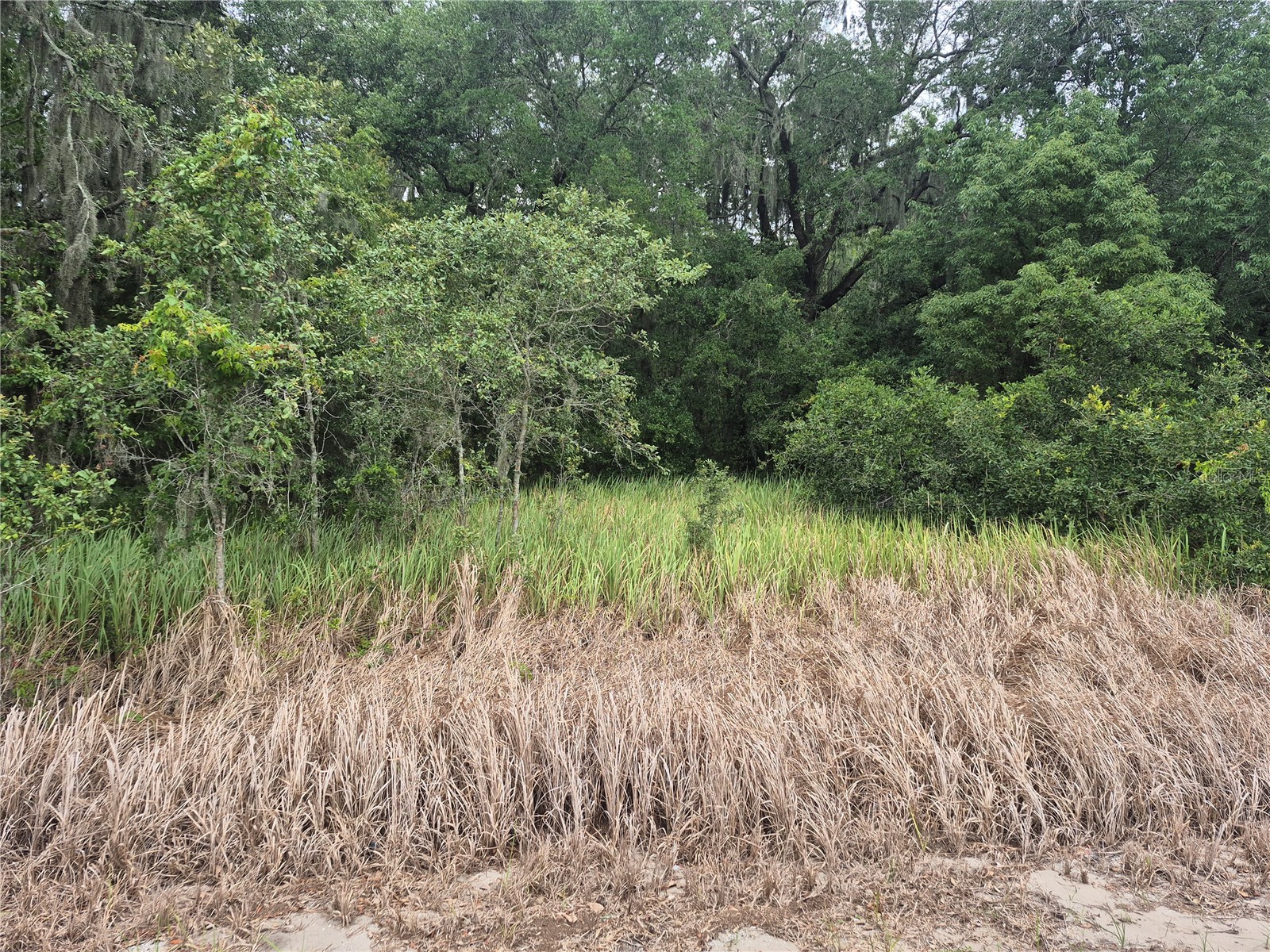1626 S Us 301 Sumterville FL 33585 G5113191 image5