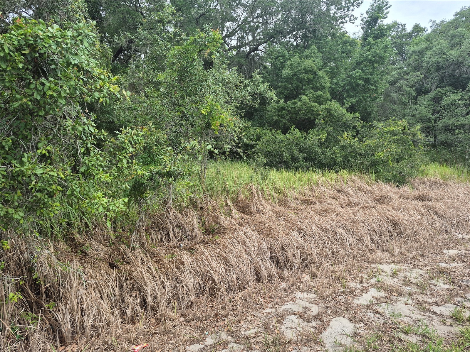 1626 S Us 301 Sumterville FL 33585 G5113191 image6