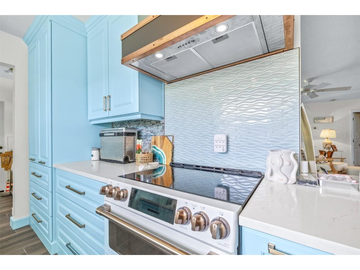 1626 Sea Breeze Drive Tarpon Springs FL 34689 - GULF OF AMERICA TB8398724 image13