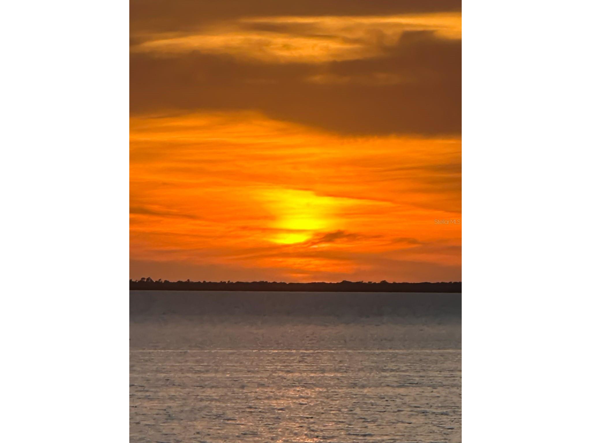 1626 Sea Breeze Drive Tarpon Springs FL 34689 - GULF OF AMERICA W7884328 image58