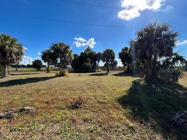 16260 Juarez Court Punta Gorda FL 33955 C7519847 image2