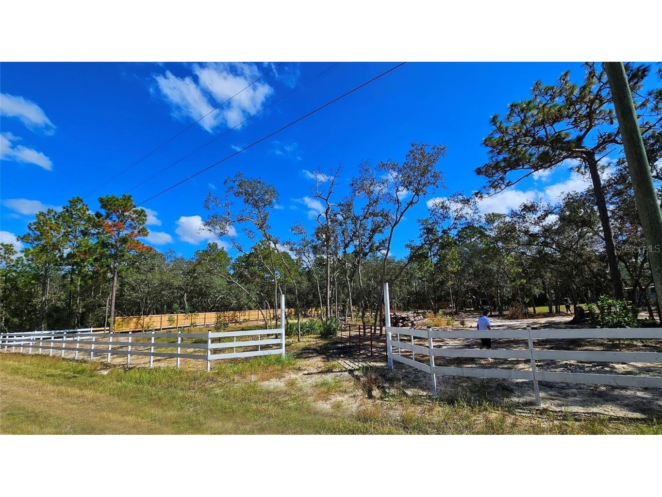 16266 Night Heron Road Weeki Wachee FL 34614 TB8361846 image4