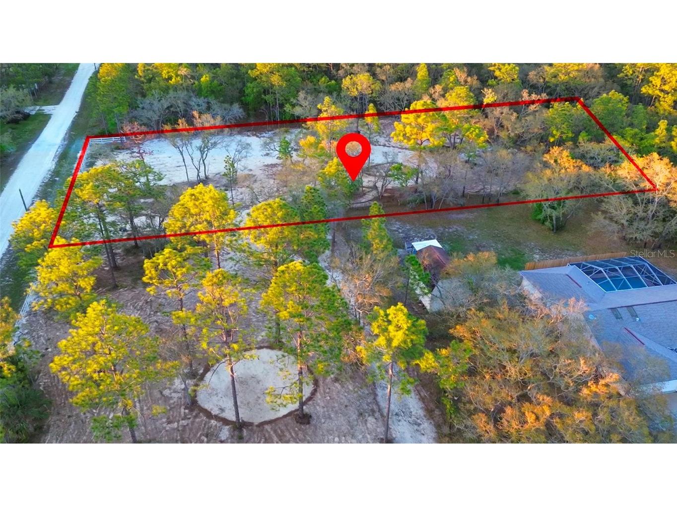 16266 Night Heron Road Weeki Wachee FL 34614 TB8361846 image6