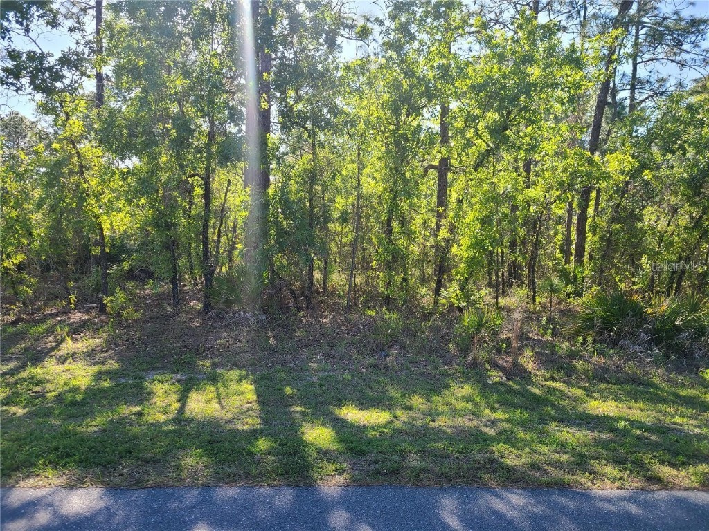 16267 Mellon Road Weeki Wachee FL 34614 OM663749 image1