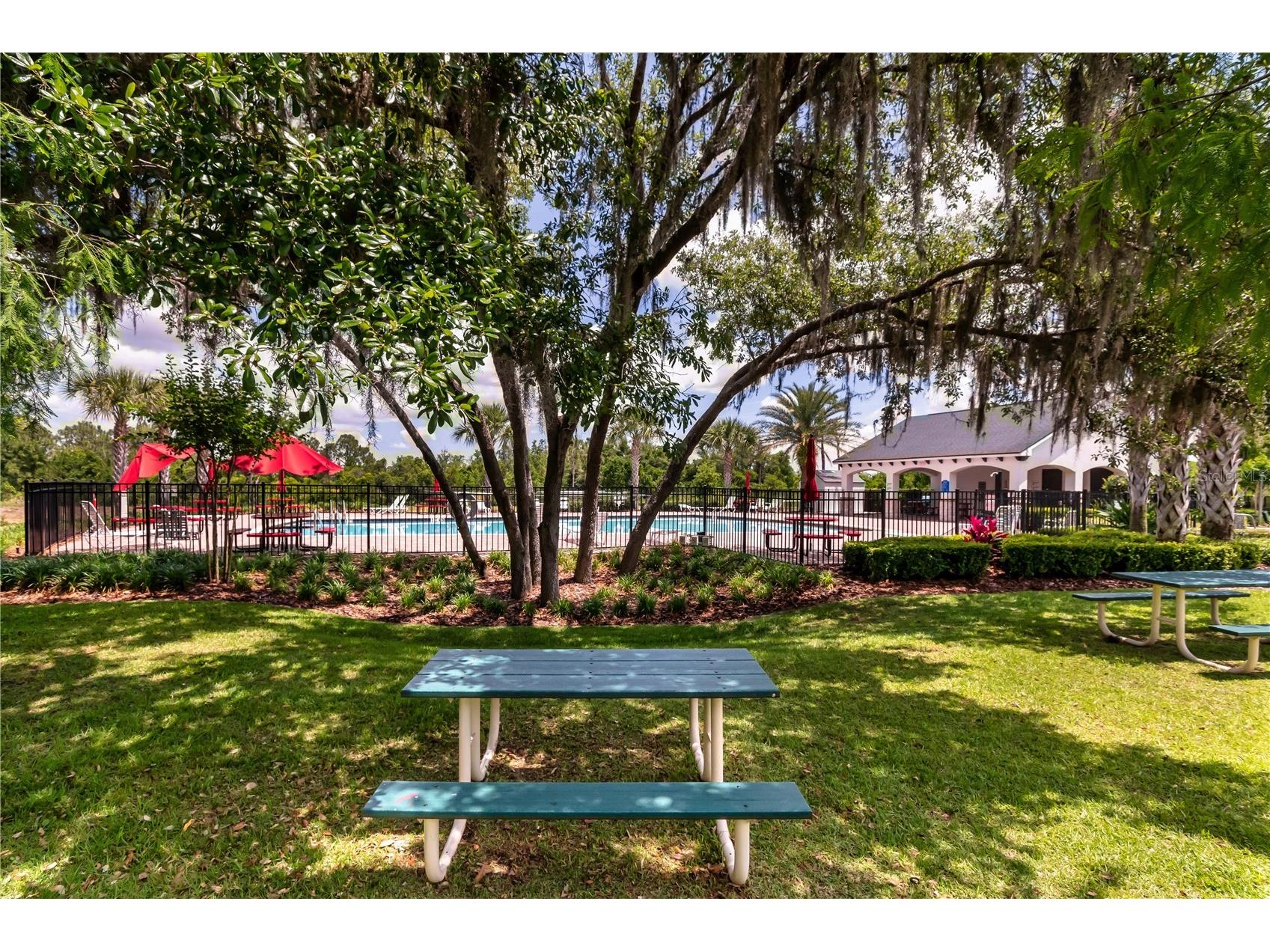 16269 Yelloweyed Drive Clermont FL 34714 O6399389 image32