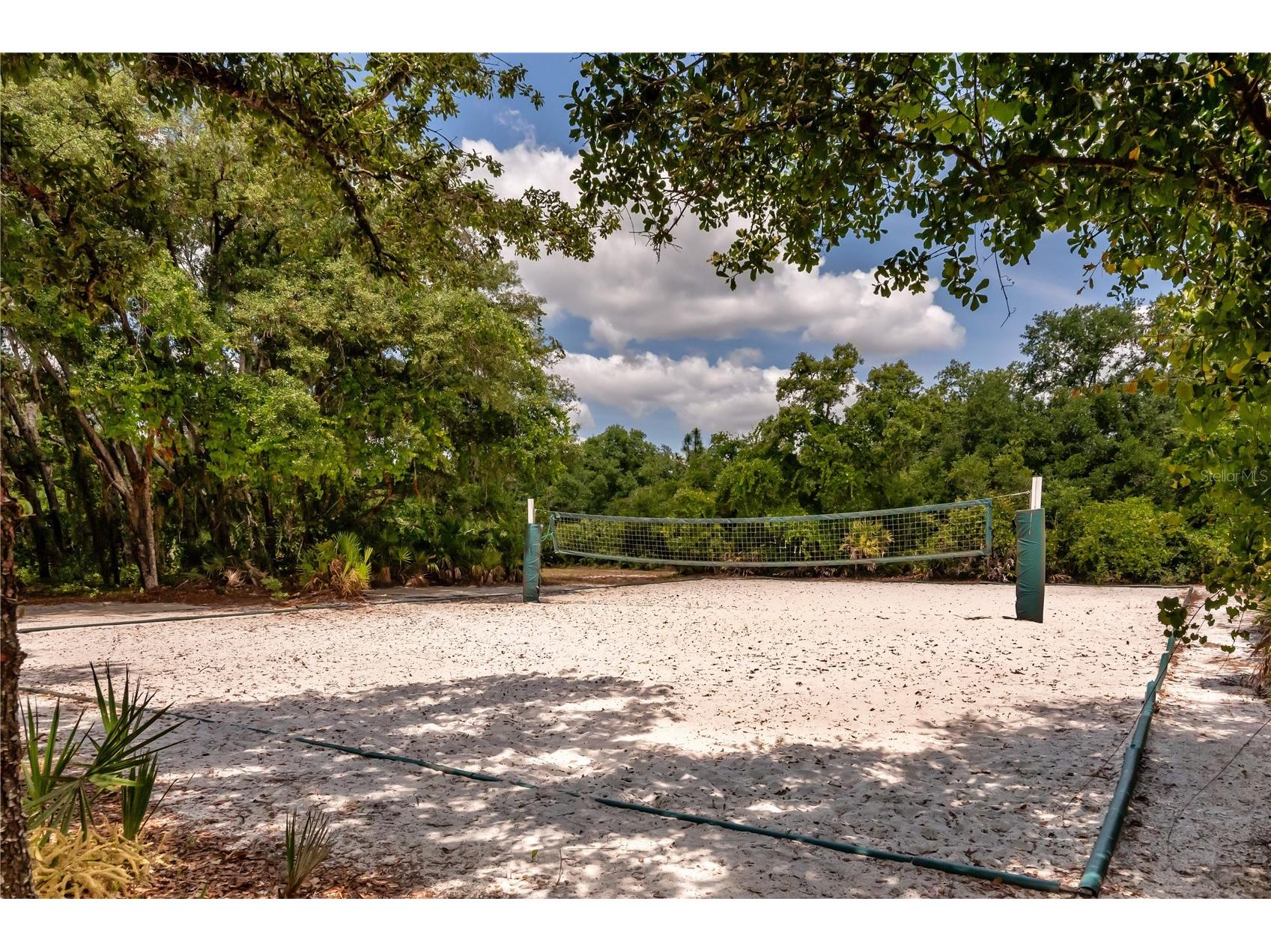 16269 Yelloweyed Drive Clermont FL 34714 O6399389 image35