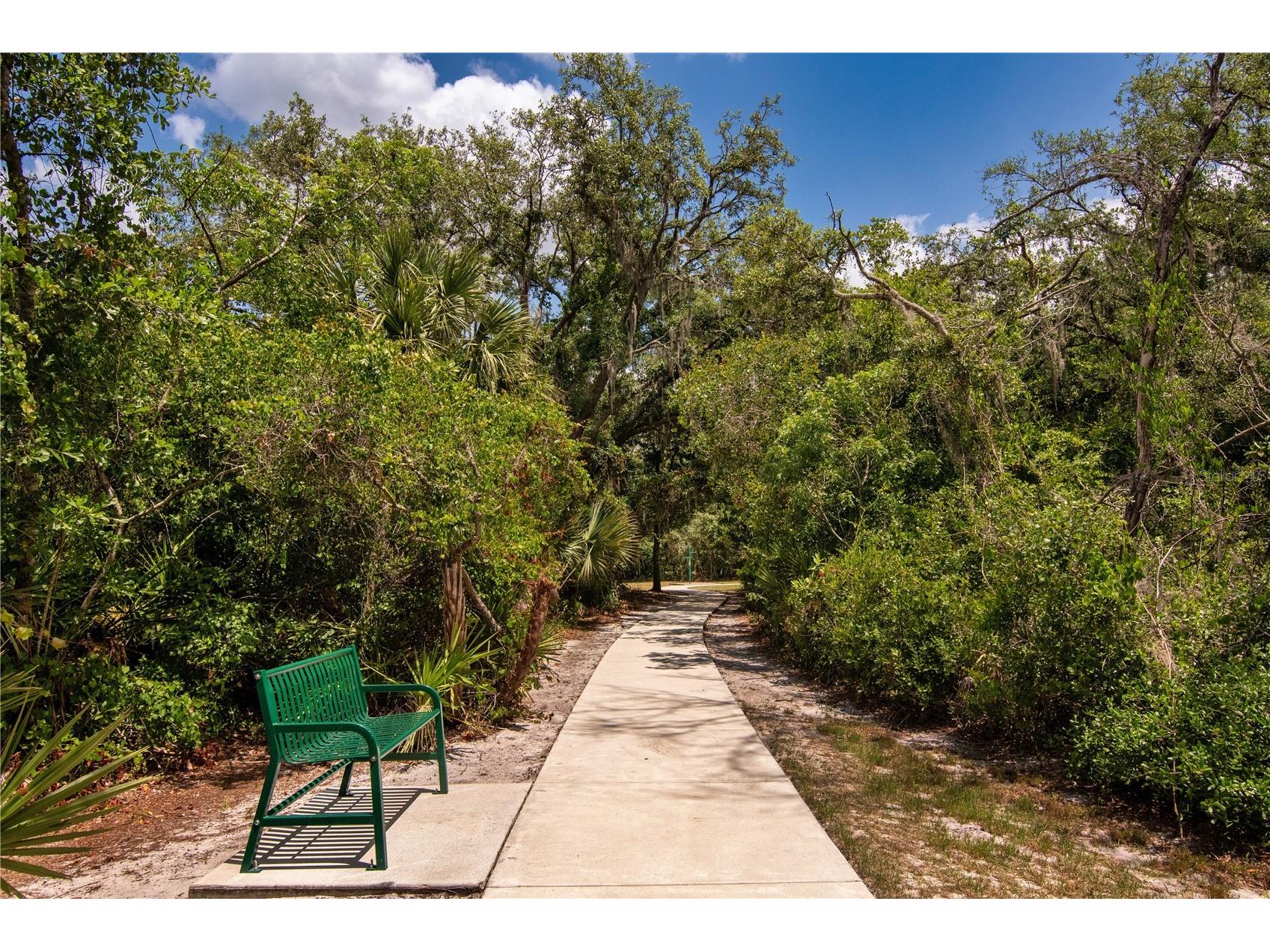 16269 Yelloweyed Drive Clermont FL 34714 O6399389 image36