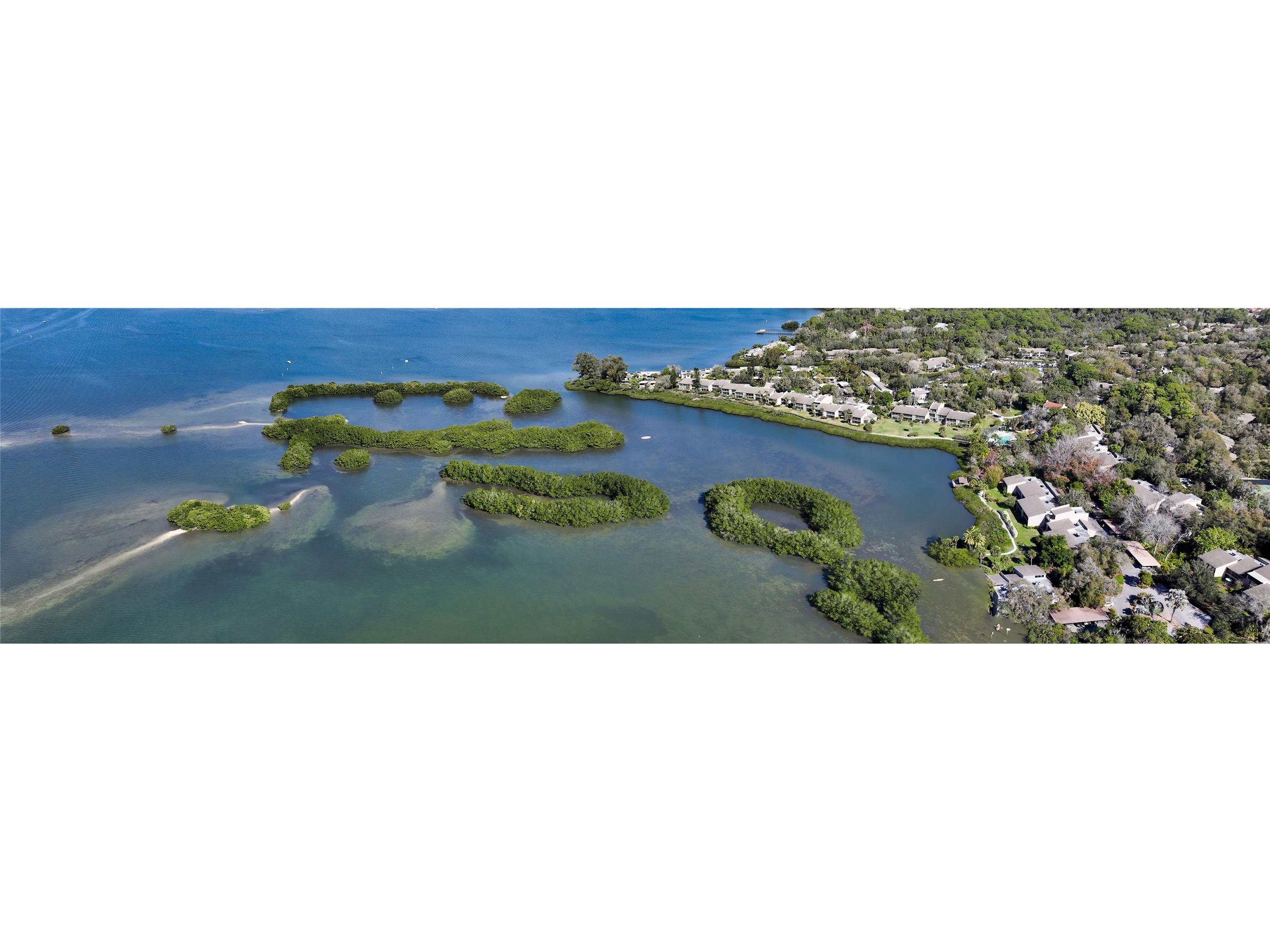 1627 Brookhouse Drive #BR264 Sarasota FL 34231 A4660554 image34