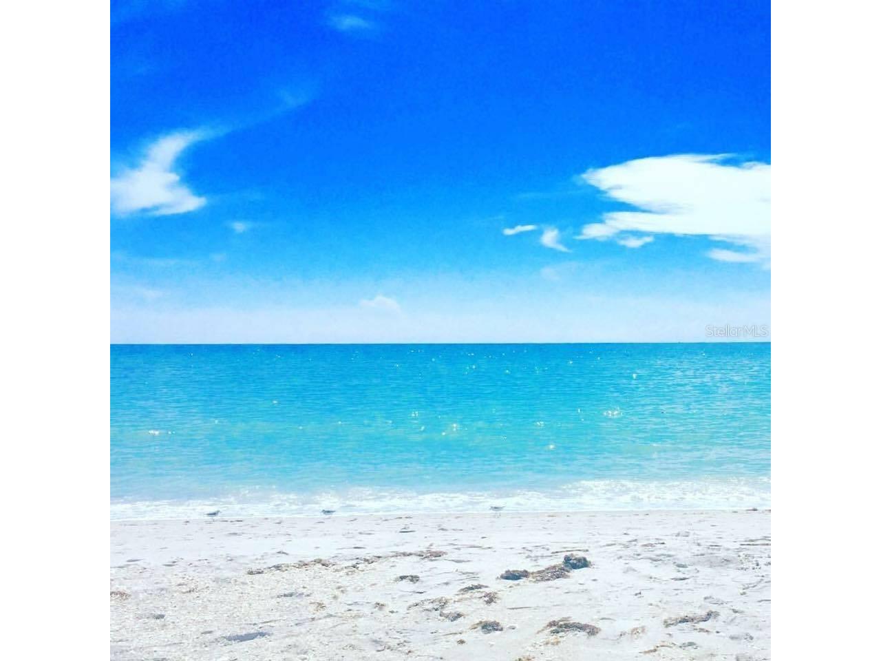 1627 Del Monte Court Venice FL 34293 N6142812 image58