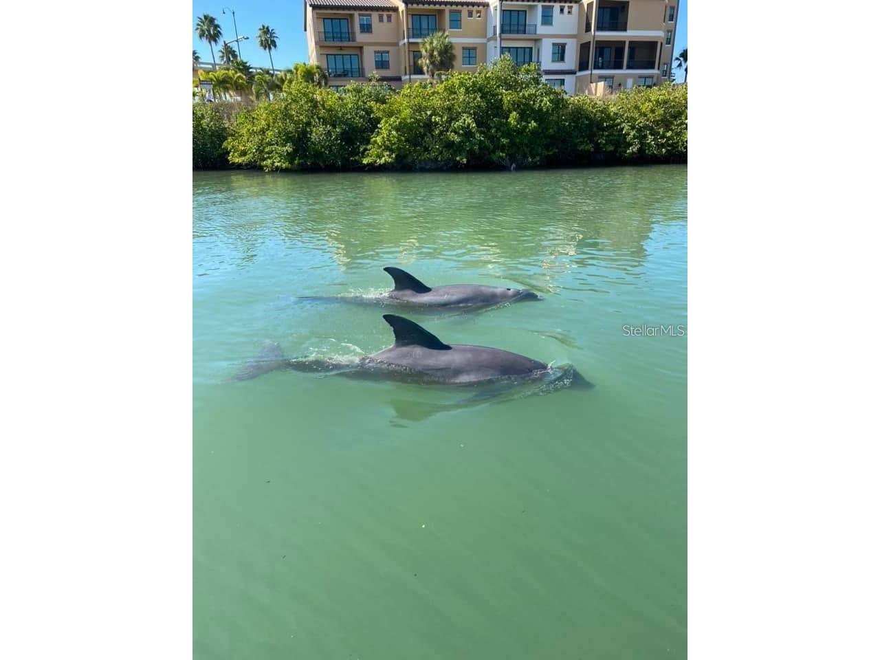 1627 Del Monte Court Venice FL 34293 N6142812 image68