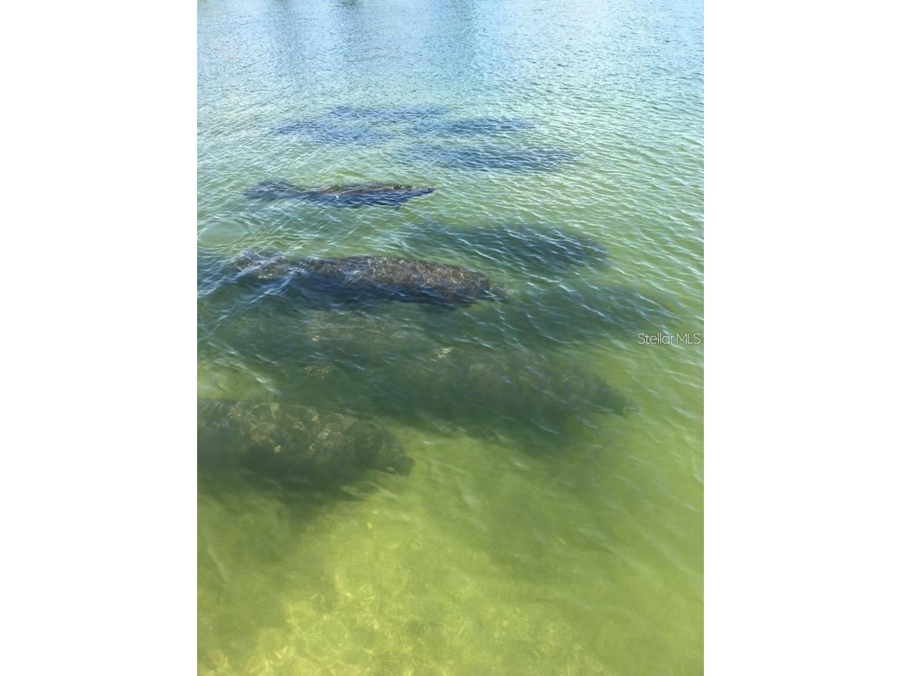 1627 Del Monte Court Venice FL 34293 N6142812 image69