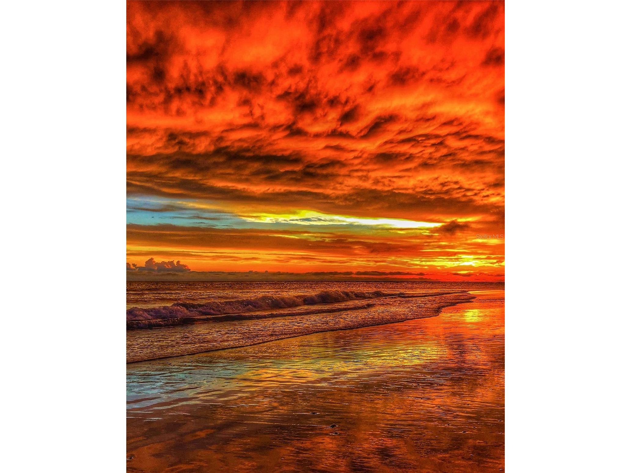 1627 Del Monte Court Venice FL 34293 N6142812 image79