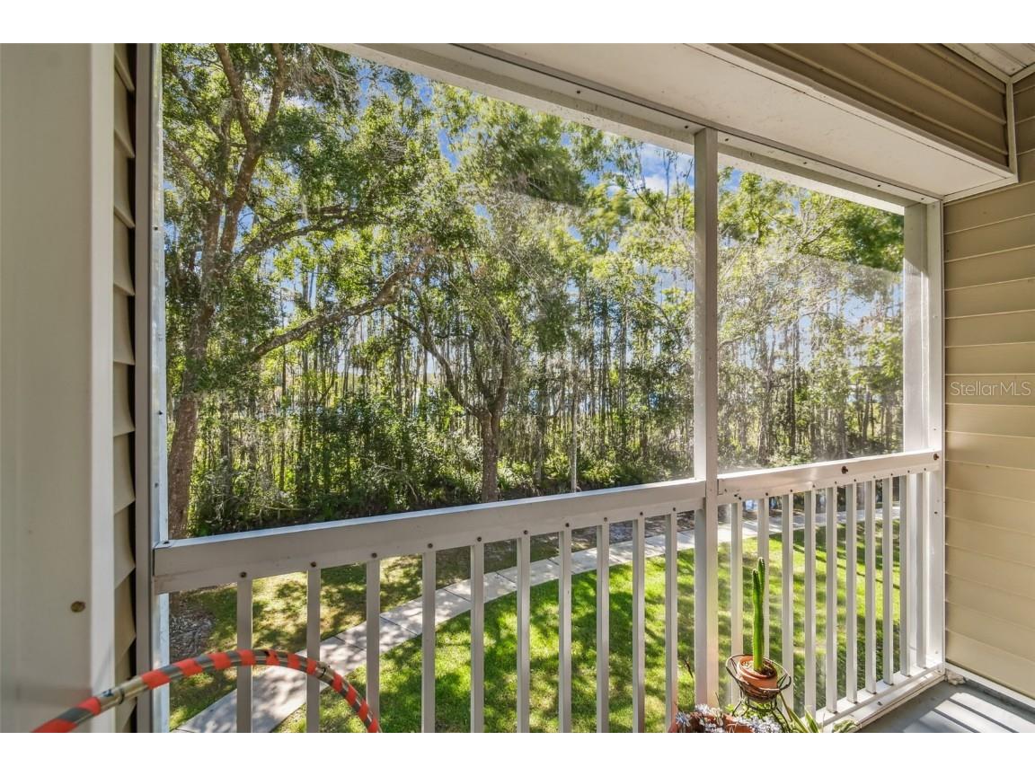 1627 Hammocks Avenue Lutz FL 33549 TB8440737 image18