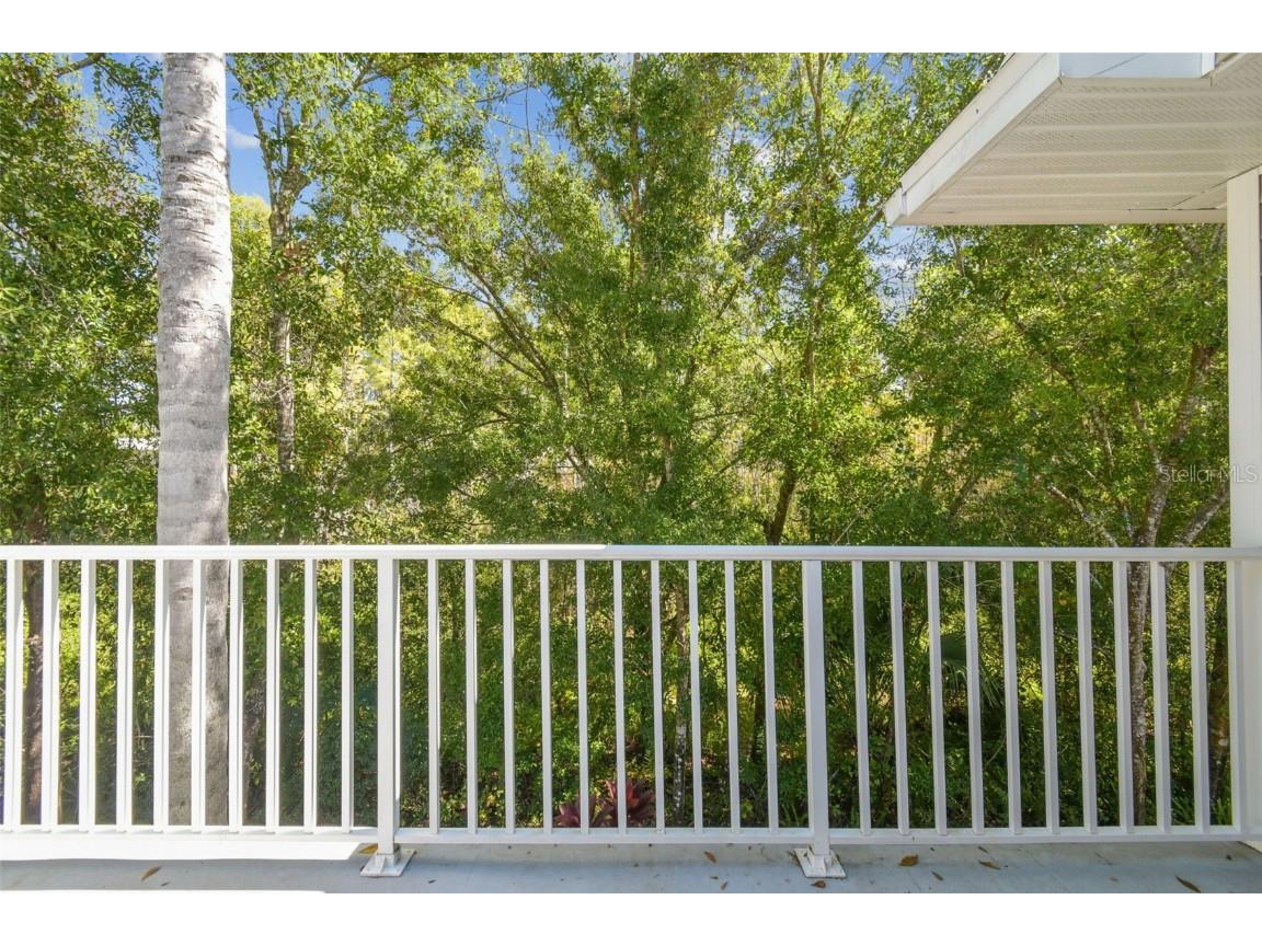 1627 Hammocks Avenue Lutz FL 33549 TB8440737 image22