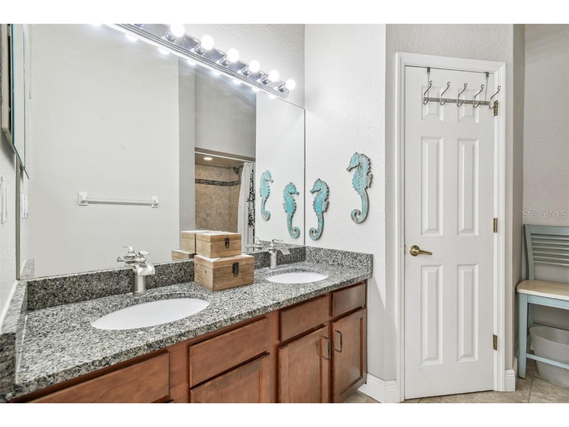 1627 Hammocks Avenue Lutz FL 33549 TB8440737 image27