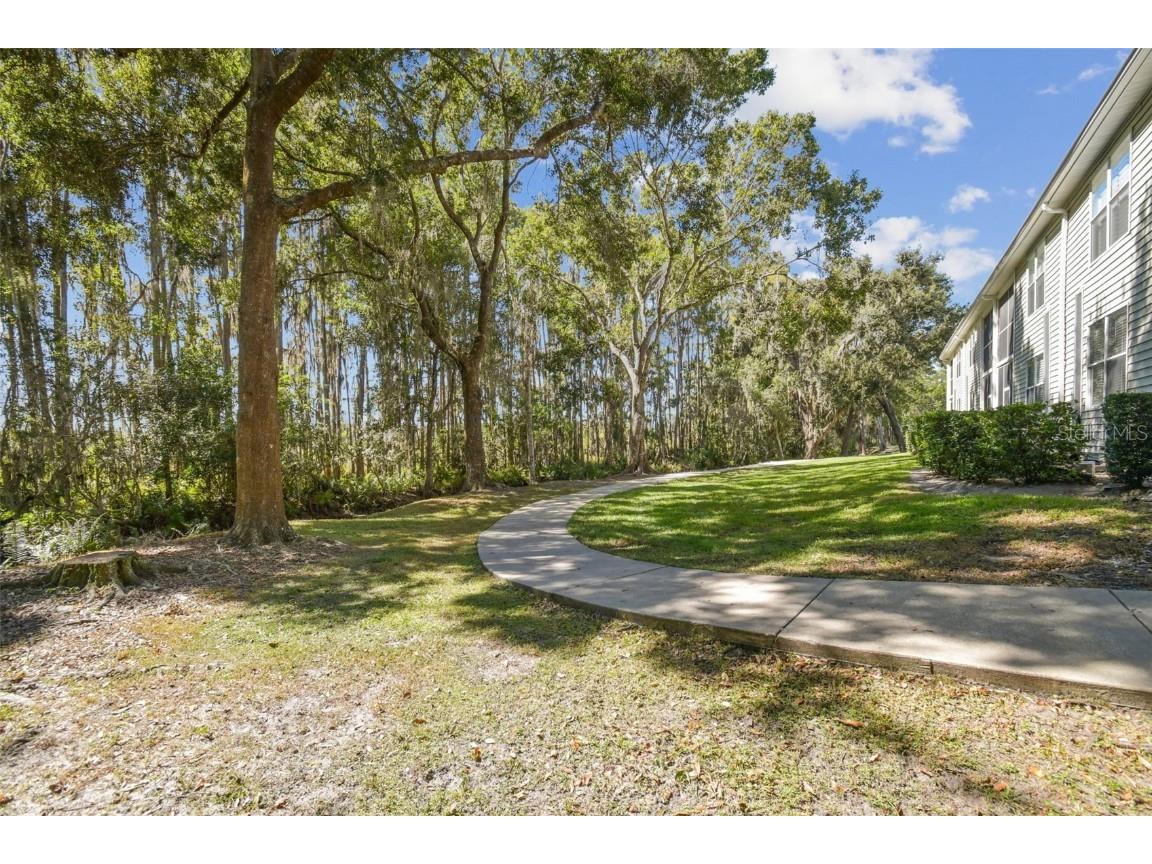 1627 Hammocks Avenue Lutz FL 33549 TB8440737 image39