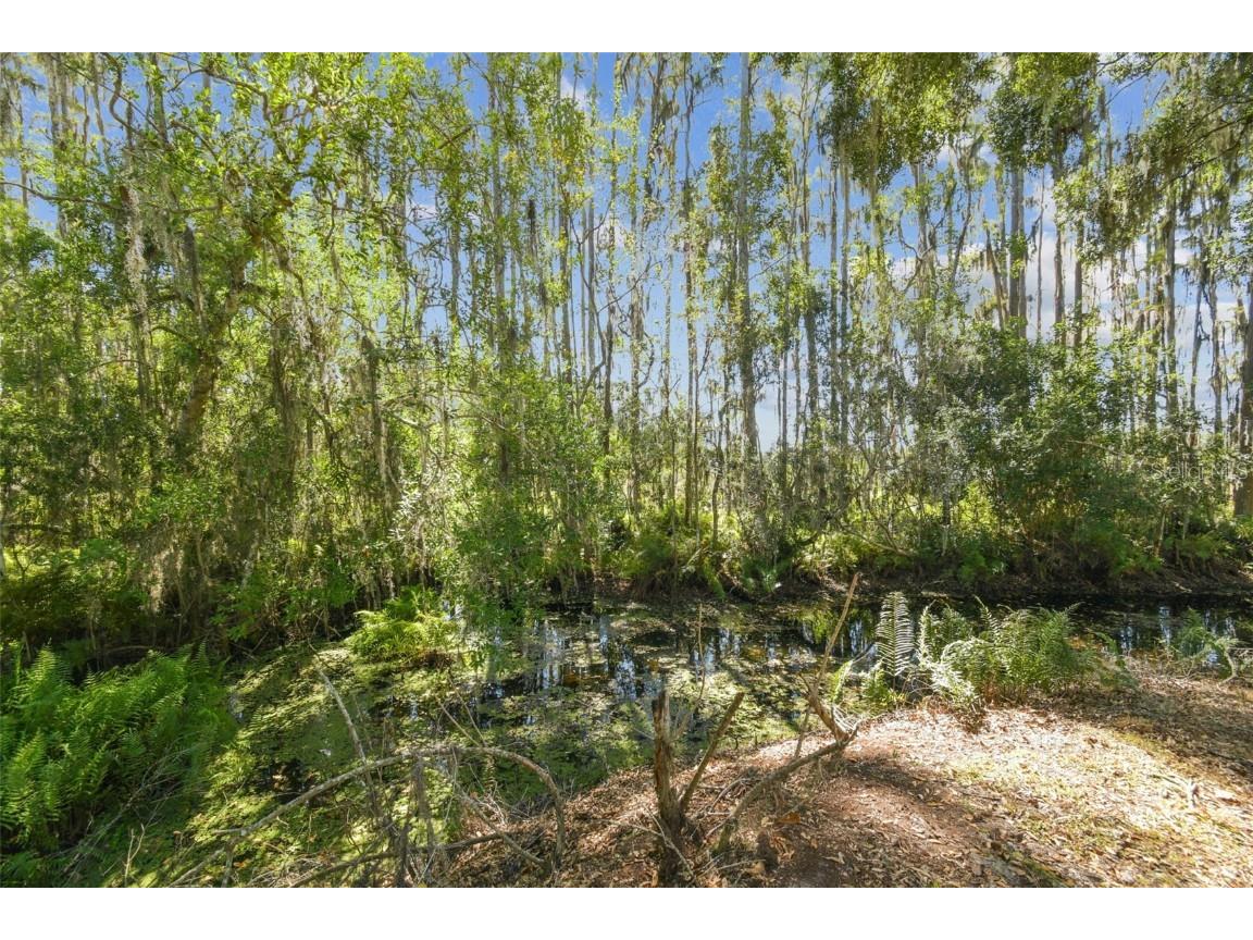 1627 Hammocks Avenue Lutz FL 33549 TB8440737 image40