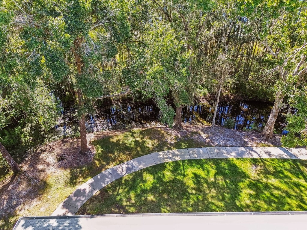 1627 Hammocks Avenue Lutz FL 33549 TB8440737 image42